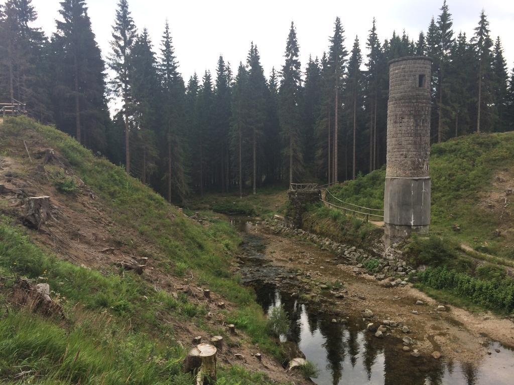Penzion Podlesi Kořenov Екстериор снимка